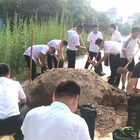 炎炎烈日，他们挥汗如雨 ----焦作市农信办开展防汛抢险应急演练