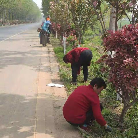 整修路边杂草