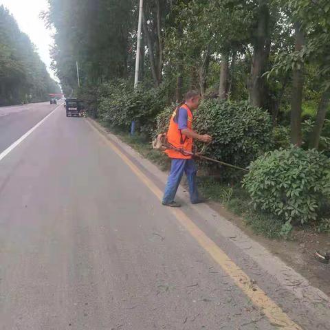 源汇公路养护中心大刘道班及时打草和修剪绿化树木