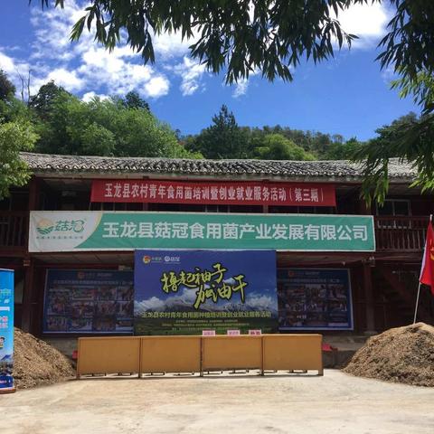 撸起袖子加油干，挥洒吧！青春。