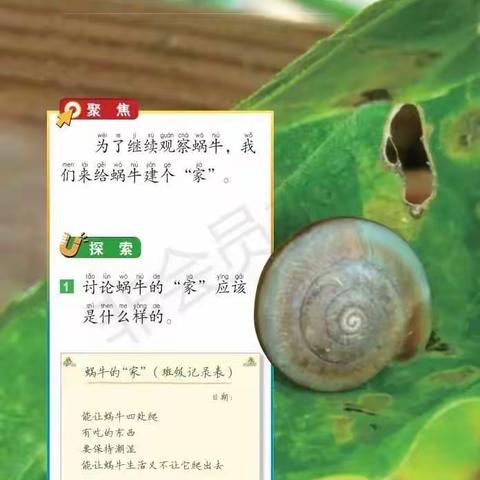一年级科学下学期 2.4 给动物建个家