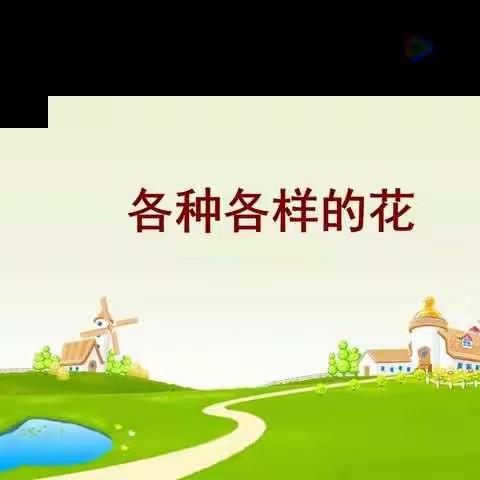 四年级科学下学期 2.2 各种各样的花