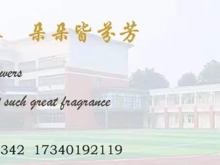 喜报 喜报 喜报