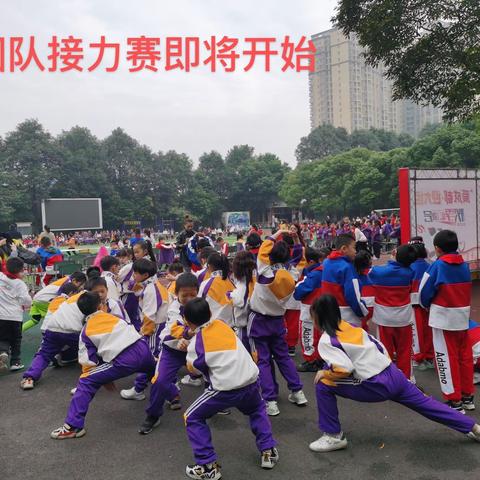 秋季运动会完美落幕