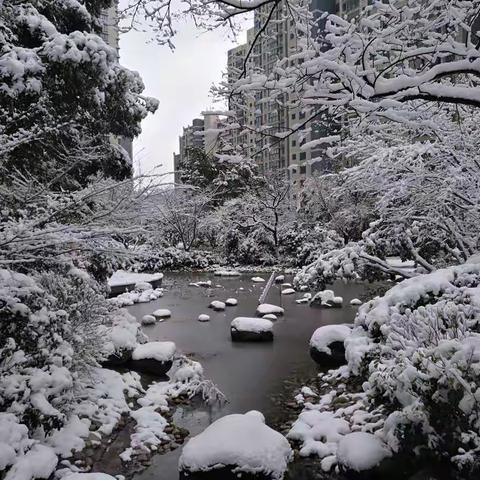 瑞雪兆丰年！2019年一定会是个丰收年！-_-_______～_～_100张2019年的第一场雪景