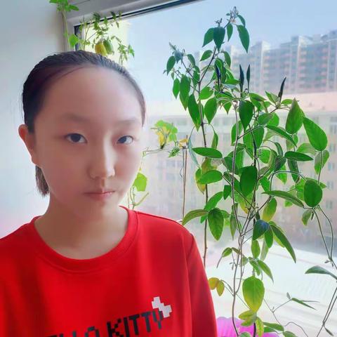 我的小菜园