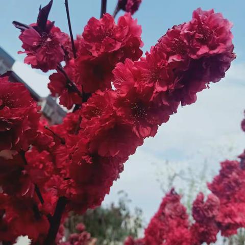 春暖花开，奔你而来！😋的美篇