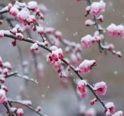 2018年，愿我们遇见最好的自己，拥有被爱照亮的生命