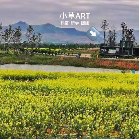 🍀五天四夜·朱家林田园美学