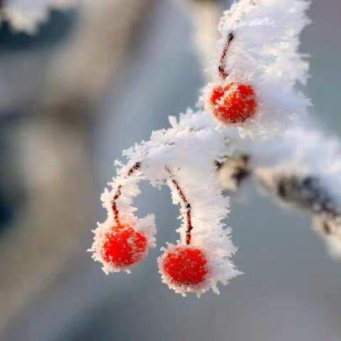 尺素留白 愿心似雪（副本）