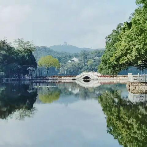 带着一口袋开心 满载而归