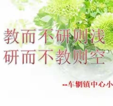 线上学习促提升 云端教研共成长    —车辋小学参加省科学线上教学研讨会纪实