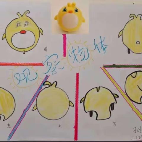 观其貌，画其形——胥各庄小学二年级数学《观察物体》实践活动