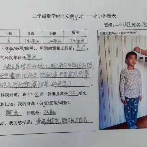 二年级数学综合实践——小小体检表