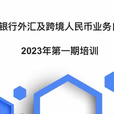 大连市银行外汇及跨境人民币业务自律机制成功举办2023年第一期培训