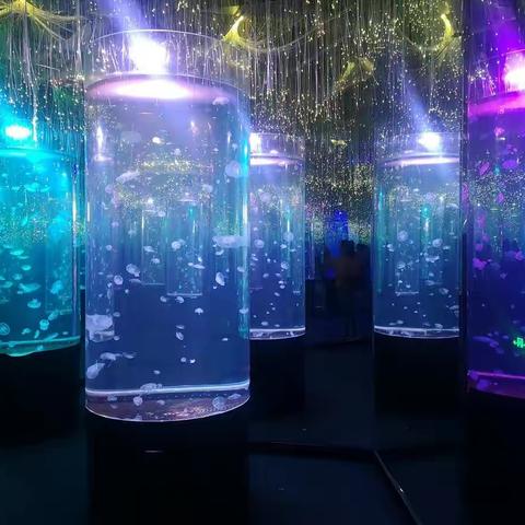 【善美雅小】关爱海洋生物·做文明小使者