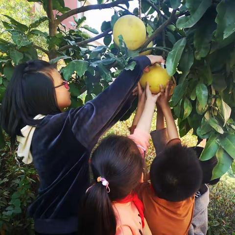 赠人香泡，手留余香