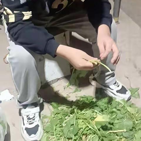 百善孝为先，孝亲我先行——肥乡区第二实验小学