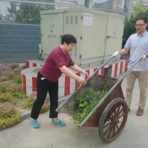 水利全员齐行动，创造清洁好环境