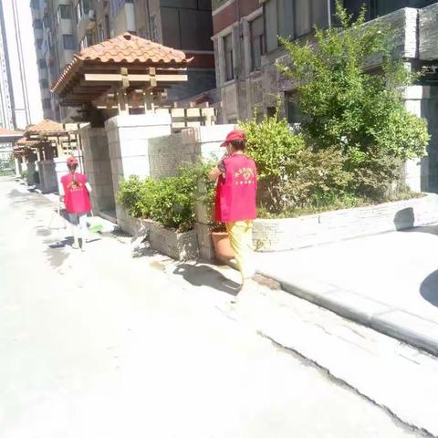 创文明城市，水利人在行动