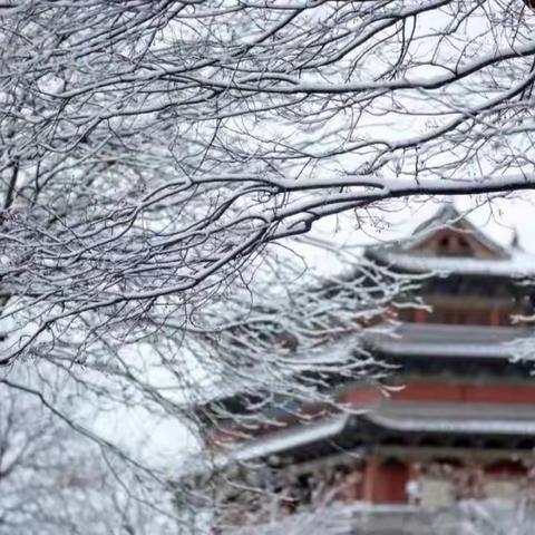 【启智明理 向美而行】雪花纷飞扮校园，扫雪除冰暖人心——平城区机车第一小学校除雪纪实