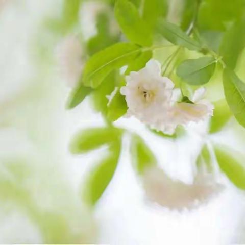 国培我们相遇，工作坊我们相知