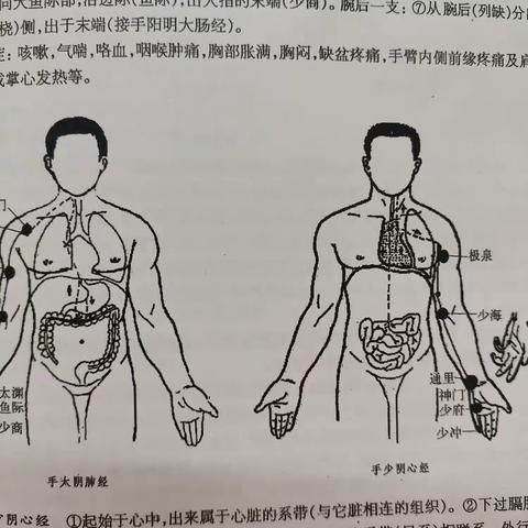 经络学说