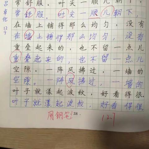 快来看看今天孩子们练的字，有认真的，也有偷懒的呦！😊