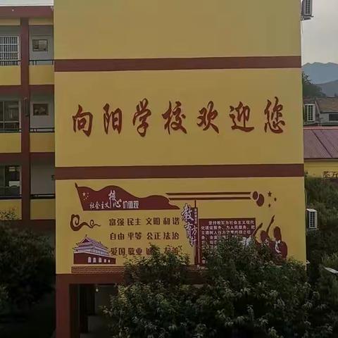 向阳学子疫情期间坚持体育锻炼