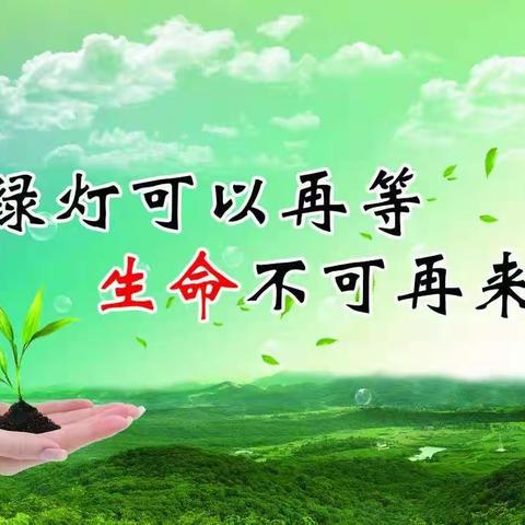 蓝田县向阳学校交通安全主题班会