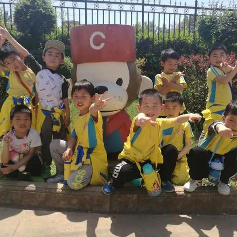 萌宠宝贝们，我们来了！