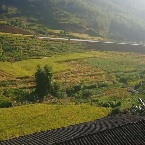 爱满分，爱满屏