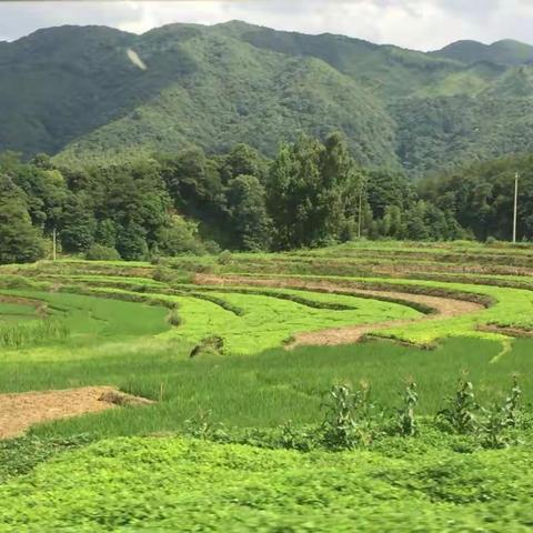 这个夏天，我们蜜蜜出发……