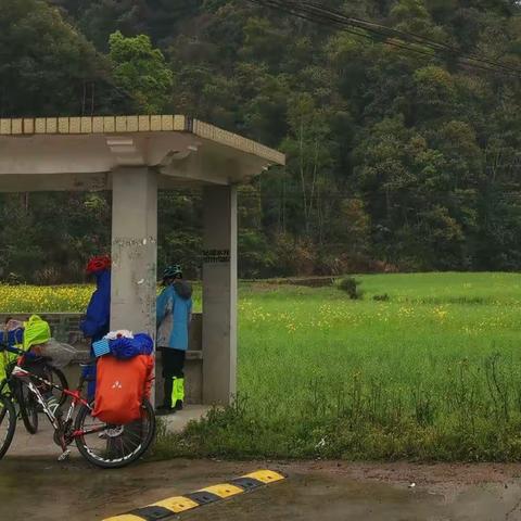 去江南赶春（17）一一赶遗憾