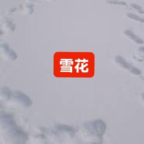 雪，多么美啊！