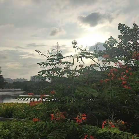 【蝶恋花】夕阳湖照