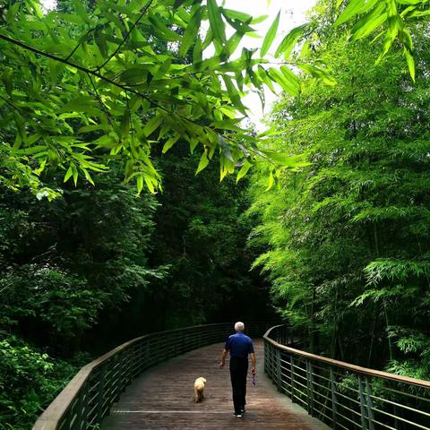 贵州习水寨坝凤凰国际度假村