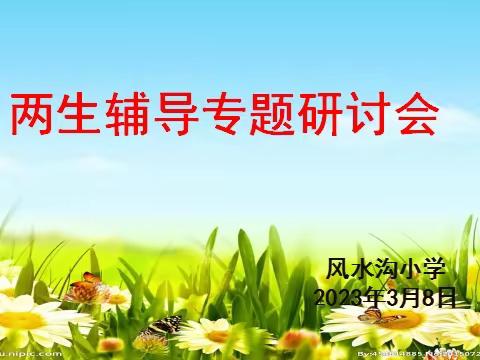 立足学科本位           推进教研实效——风水沟小学两生辅导专题研讨会