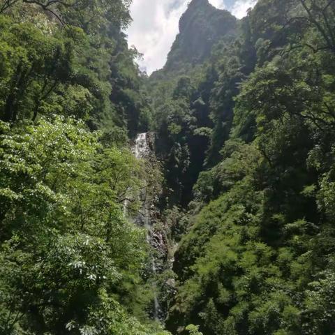 中控溯溪大鱼首探