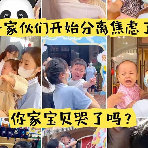 "妈妈，我不要去幼儿园"  小雨点幼儿园有妙招