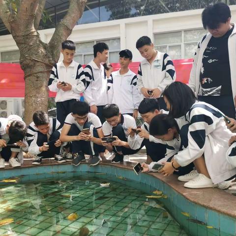 海南省财税学校2018级平面专业学生《手机摄影》室外拍摄实训（部分）作品.第5周