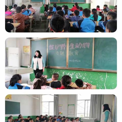 华明小学“保护野生动物，保持生态平衡”活动简报