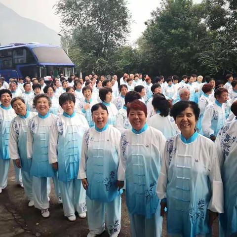 2018年山东省百万老年人打太极业务骨干展示暨"泰山乐鸽杯"启动仪式