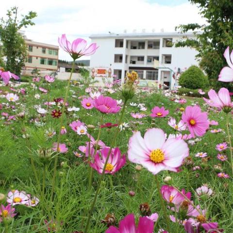 高桥小学六一“你好，新时代”主题系列庆祝活动