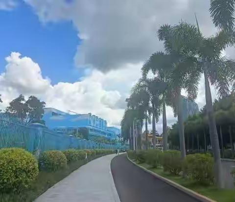 🐬大海🐋＜五＞