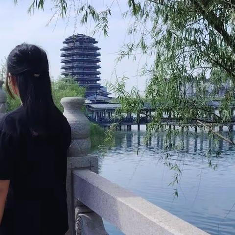 阅书 越山 悦己——槿花一日自以为荣