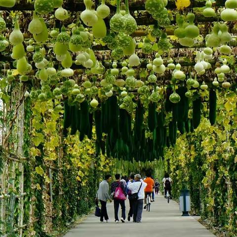 秋天 丰收的季节