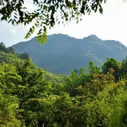 龙滚潭山泉水，让消费者喝上原生态、无污染的放心水!!!因为新鲜，所以喜欢!!!