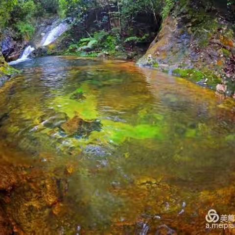 龙滚潭[袋装]原生态山泉水，方便、卫生，杜绝二次污染！满足不同消费者的需求!!! (长期有效!)
