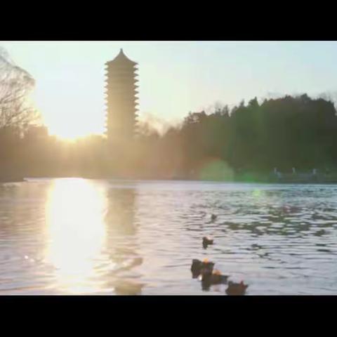 灵感 | 北京大学宣传片集